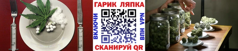 где можно купить наркотик  Малмыж  Canna-Cookies конопля 